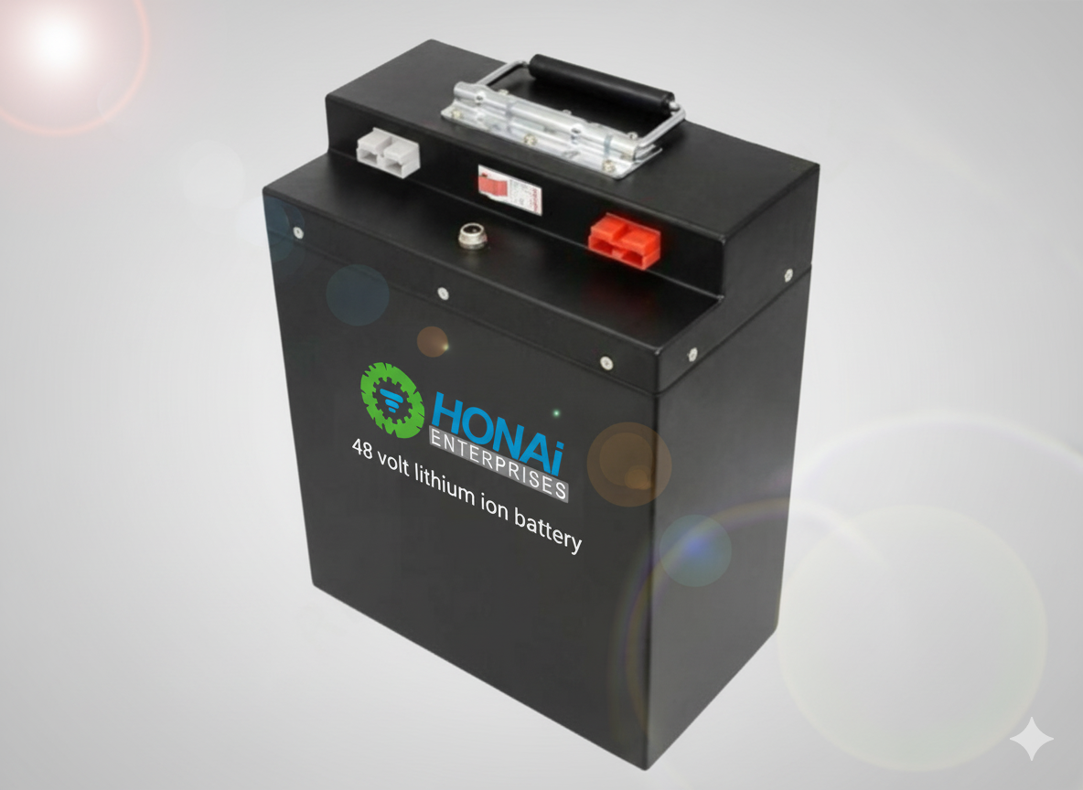 Lithium ion battery 48 volt